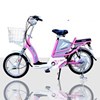 xe dap dien honda h-105 hinh 1